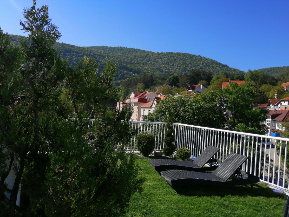 B&B Nataly 2 Sokobanja Extérieur photo