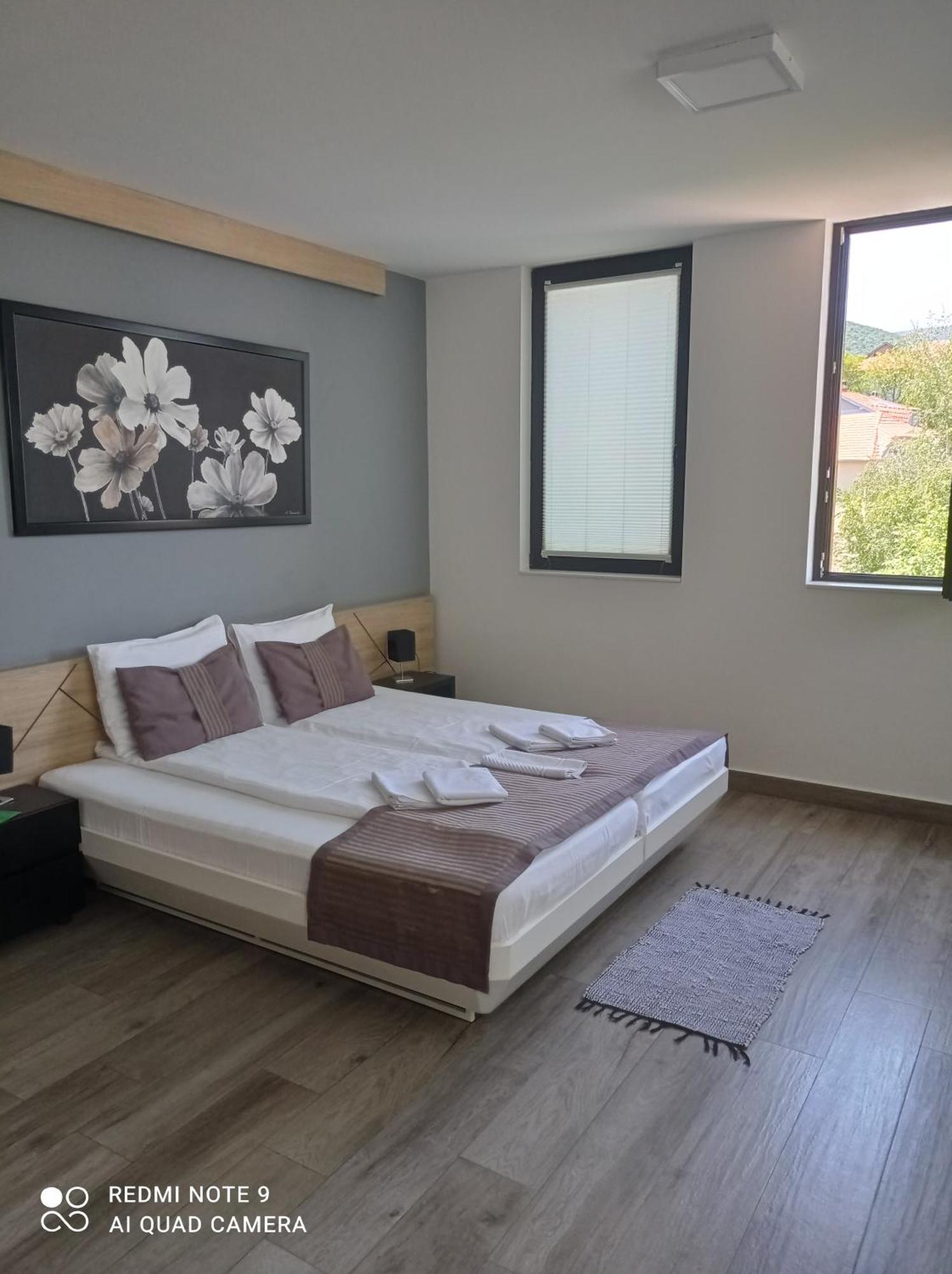 B&B Nataly 2 Sokobanja Extérieur photo